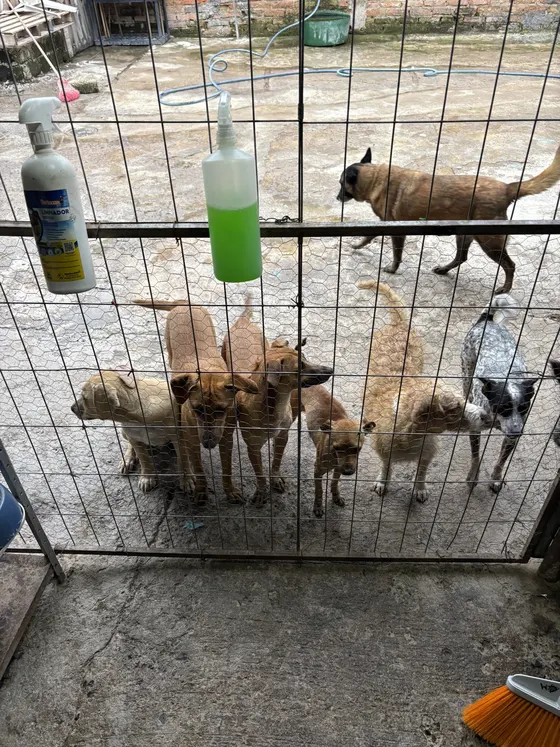 Foto 1 de la jornada: visita al refugio.