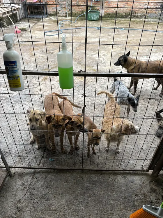 Foto 2 de la jornada: visita al refugio.