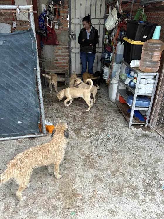 Foto 17 de la jornada: visita al refugio.