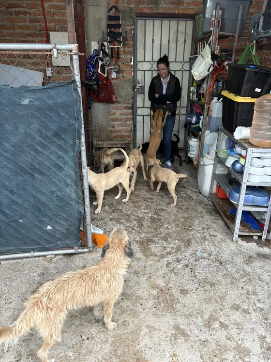 Foto 18 de la jornada: visita al refugio.