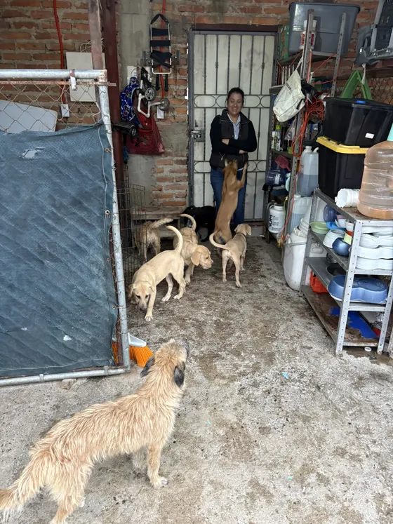 Foto 19 de la jornada: visita al refugio.