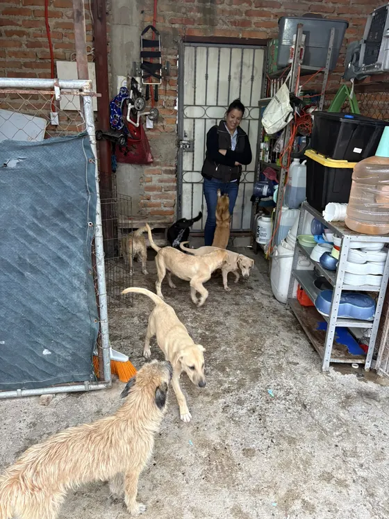 Foto 20 de la jornada: visita al refugio.