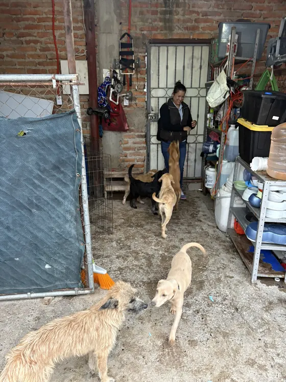 Foto 22 de la jornada: visita al refugio.