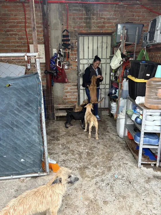 Foto 23 de la jornada: visita al refugio.