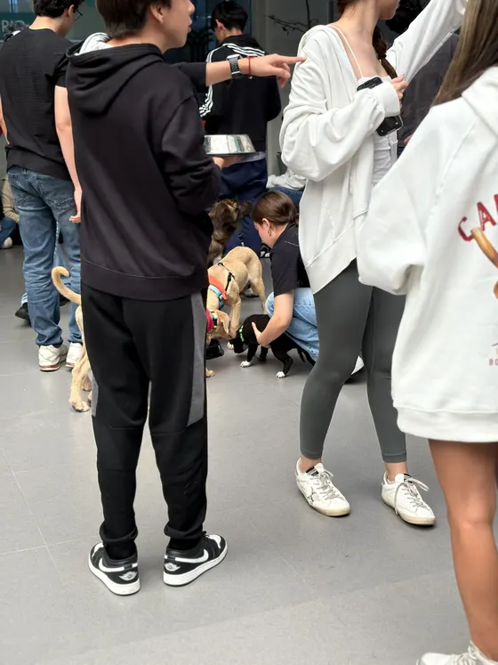 Foto 117 de la jornada: evento de adopción responsable.